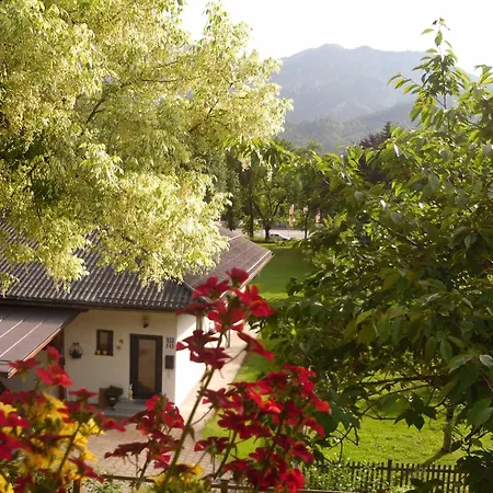 Haus Elisabeth 巴德哥依斯恩