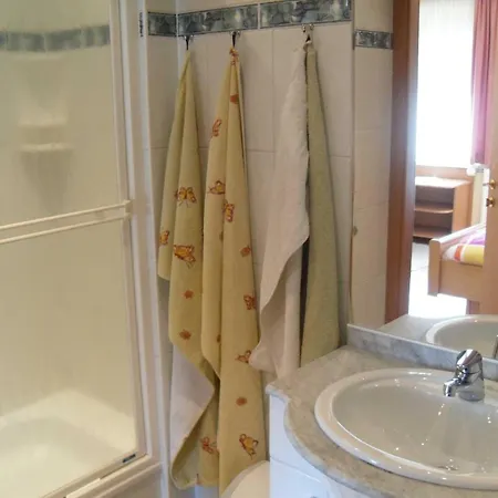 Haus Elisabeth 公寓 巴德哥依斯恩