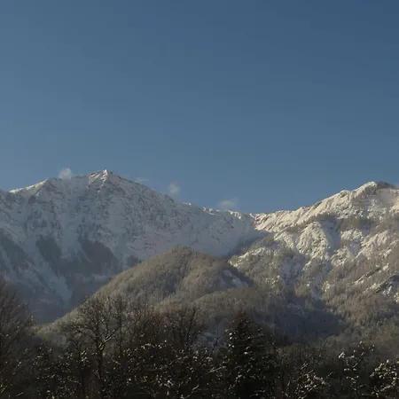 公寓 Haus Elisabeth