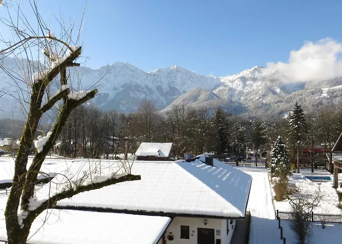 Appartement Haus Elisabeth Bad Goisern