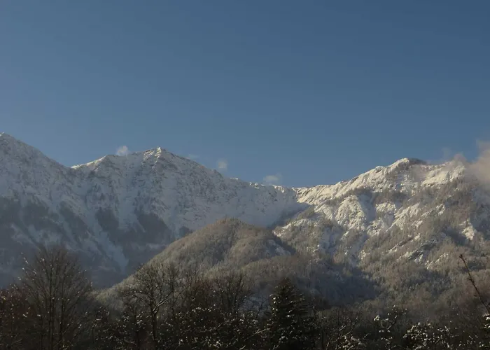 Διαμέρισμα Haus Elisabeth